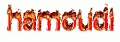 hamooudi25