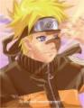   kyuubi