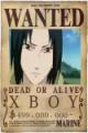 Xboy